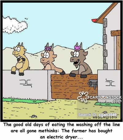 Photo Courtesy: CartoonStock