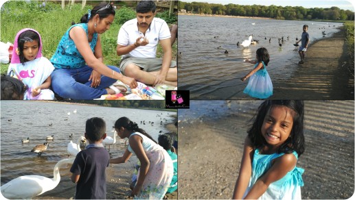 Ruislip Lido Dayout - Picture 8