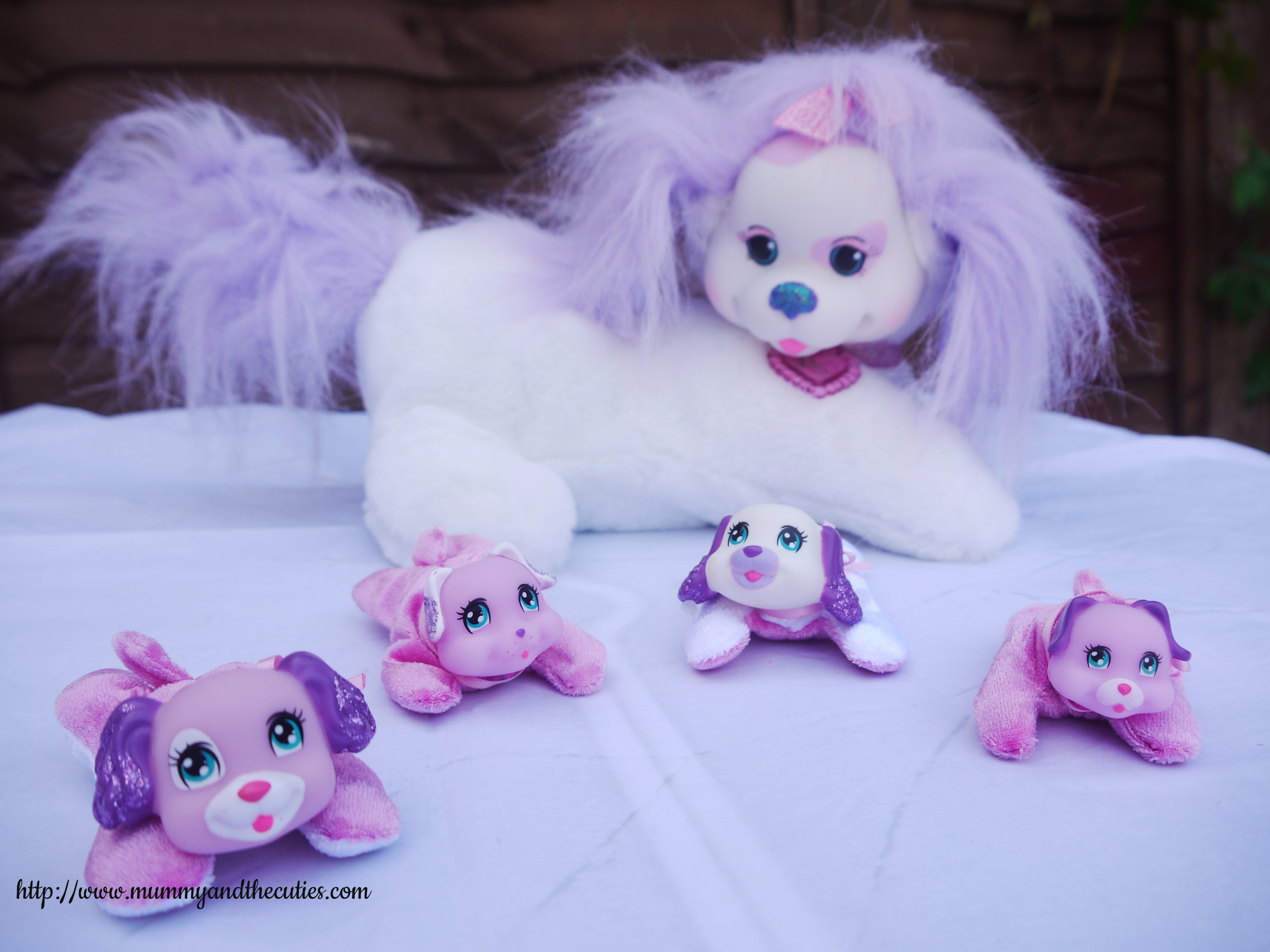 Introducing – Cali Puppy Surprise Plush and her puppies